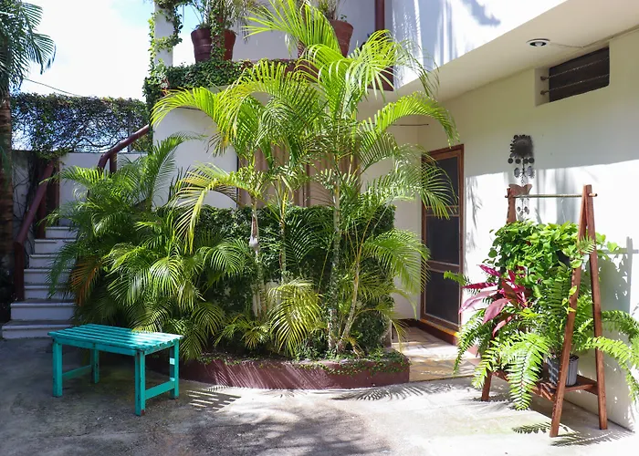 &Suites Pata De PerroHostal